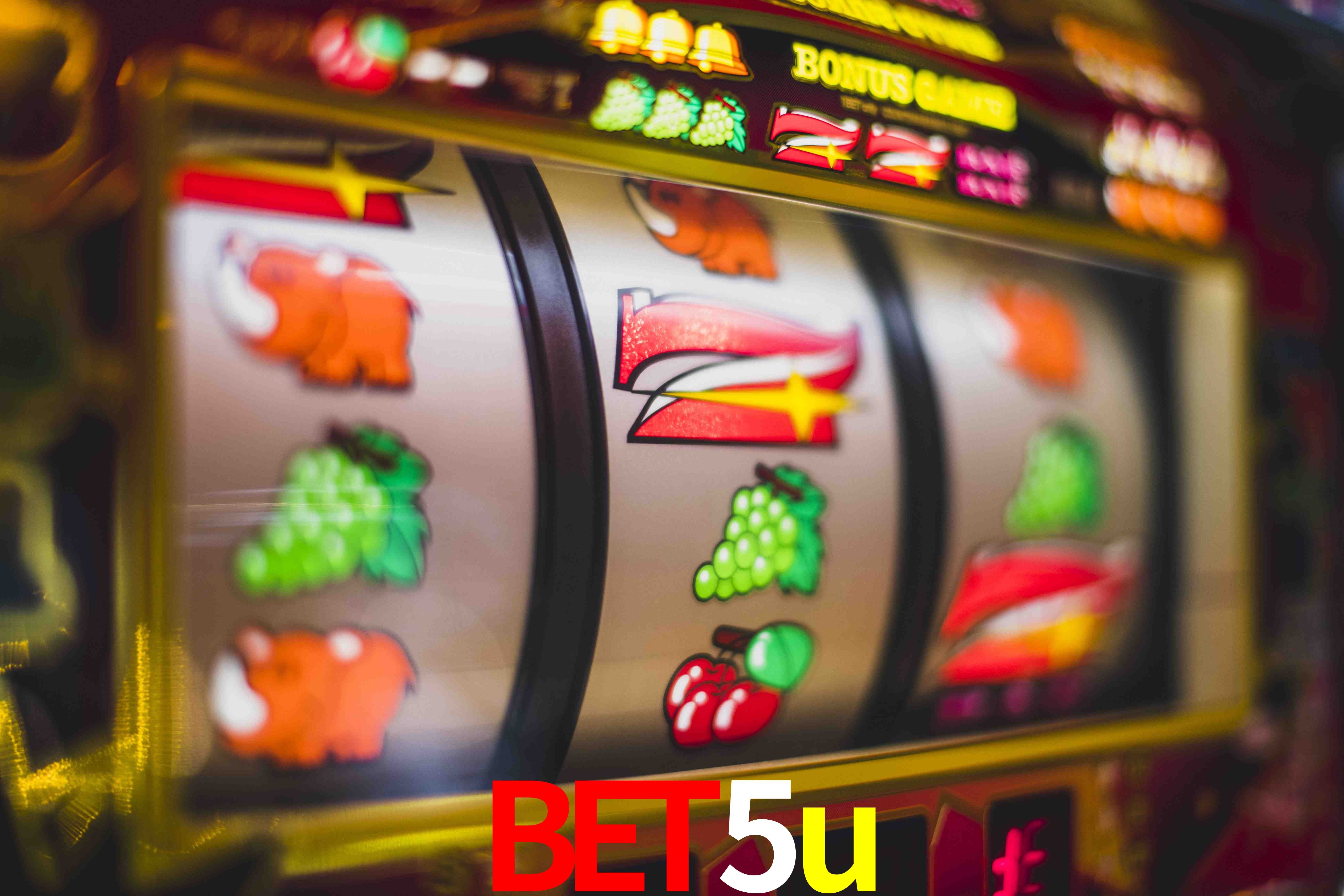 Sports Statistics bet5u